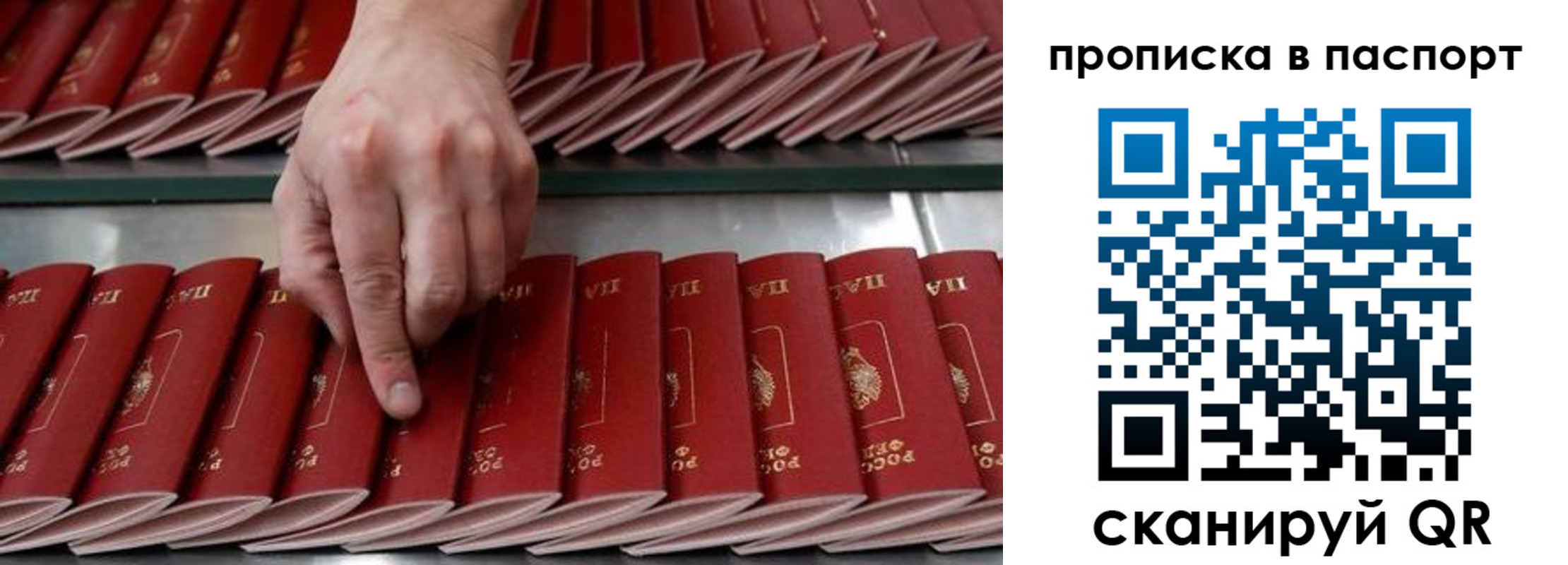 регистрация для школы в Орловской области